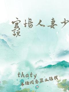 官场人妻少妇小说