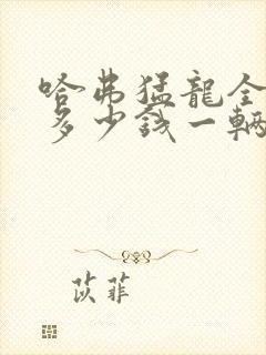 哈弗猛龙全下来多少钱一辆