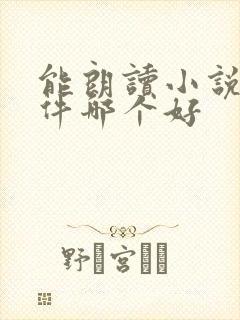 能朗读小说的软件哪个好