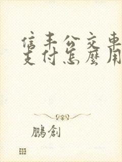 信丰公交车扫码支付怎么用