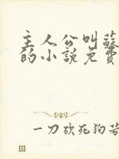 主人公叫苏铭渊的小说免费阅读