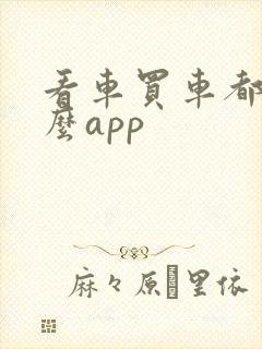 看车买车都用什么app
