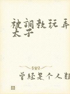 被调教玩弄双性太子