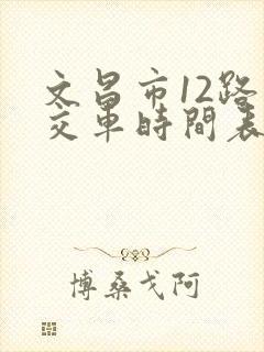 文昌市12路公交车时间表