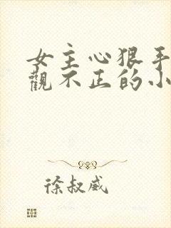 女主心狠手辣三观不正的小说