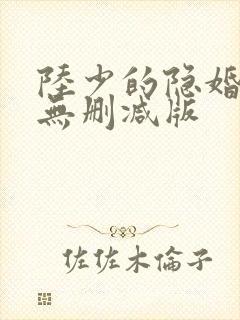 陆少的隐婚罪妻无删减版
