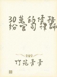 30万的债务纠纷官司律师收费标准