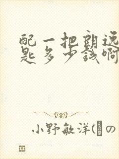 配一把朗逸车钥匙多少钱啊