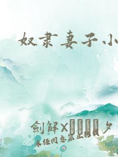奴隶妻子小说