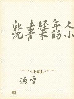 此去经年人未还沈青禾的小说