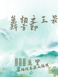 万相之王最新更新章节