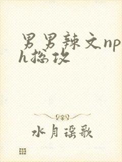 男男辣文np高h总攻