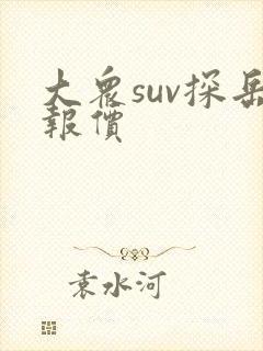 大众suv探岳报价