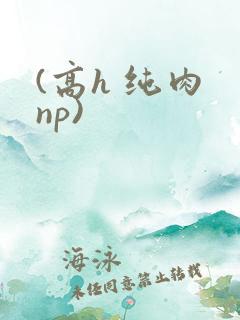 (高h 纯肉 np)
