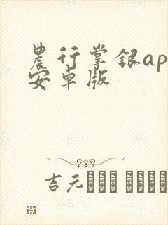 农行掌银app安卓版