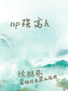 np强高h