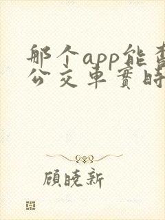 那个app能查公交车实时到站