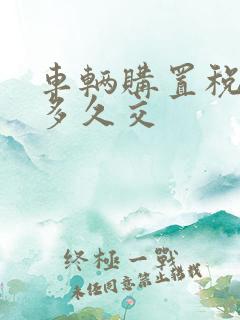 车辆购置税最晚多久交