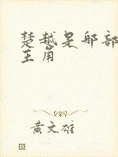 楚越是哪部小说主角