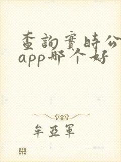 查询实时公交的app哪个好 查询实时公交的app哪个好