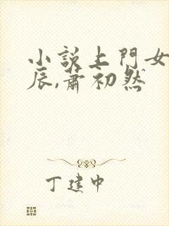 小说上门女婿叶辰,萧初然