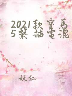 2021款宝马5系 插电混动