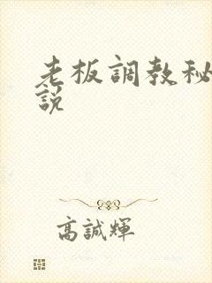 老板调教秘书小说