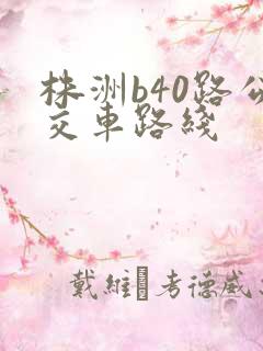 株洲b40路公交车路线