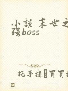 小说 末世之最强boss