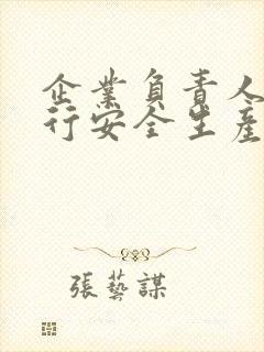 企业负责人未履行安全生产法导致重大事故