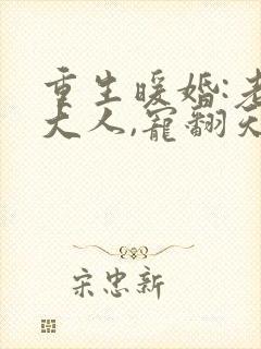 重生暖婚:老公大人,宠翻天》 重生暖婚:老公大人,宠翻天》