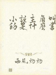 小说主角叫林凡的是什么书
