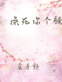 操死你个骚母狗