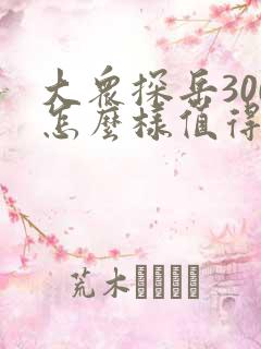 大众探岳300怎么样值得买吗