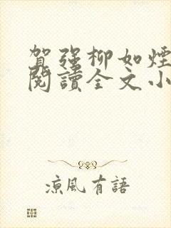 贺强柳如烟免费阅读全文小说