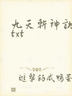 九天斩神诀林辰txt