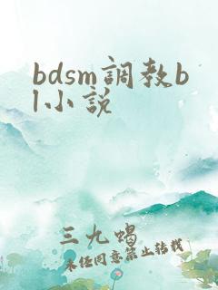 bdsm调教bl小说