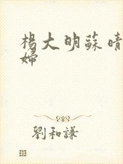 杨大明苏晴儿媳妇