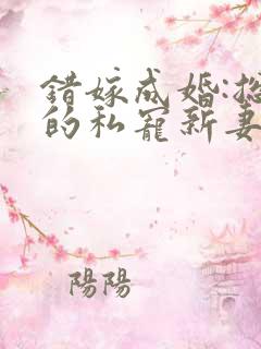 错嫁成婚:总裁的私宠新妻