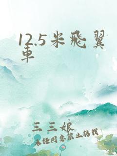 12.5米飞翼车