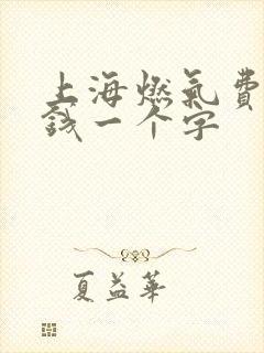 上海燃气费多少钱一个字