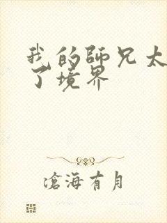 我的师兄太稳健了境界