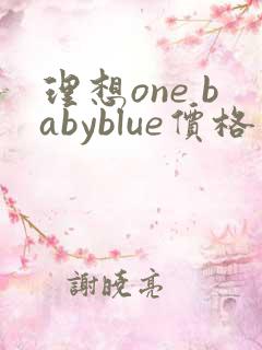 理想one babyblue价格