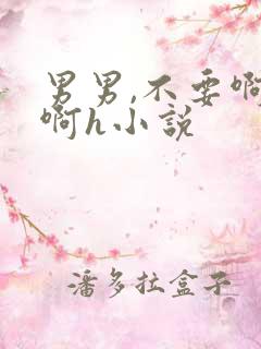 男男,不要啊啊啊h小说