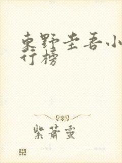 东野圭吾小说排行榜 东野圭吾小说排行榜