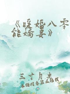 《暖婚八零之全能娇妻》