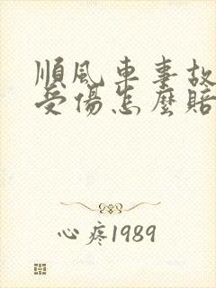 顺风车事故乘客受伤怎么赔偿