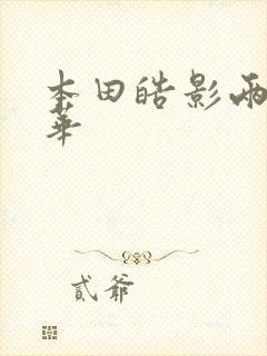 本田皓影两驱豪华