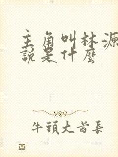主角叫林源的小说是什么