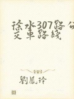 徐水307路公交车路线